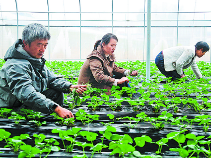 多元融合繪就鄉(xiāng)村振興“富春山居圖”